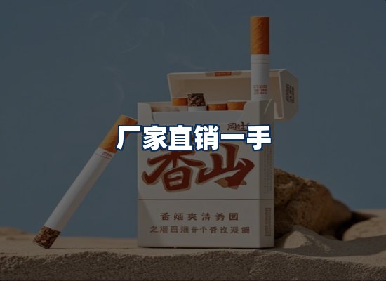 专业团队办公环境
